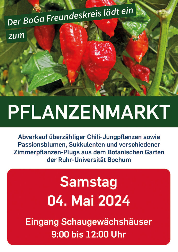 Pflanzenmarkt Mai 2024 B
