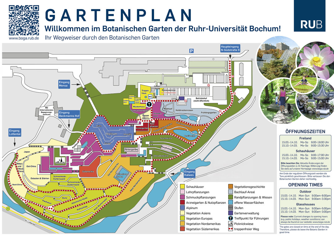 detaillierter Gartenplan