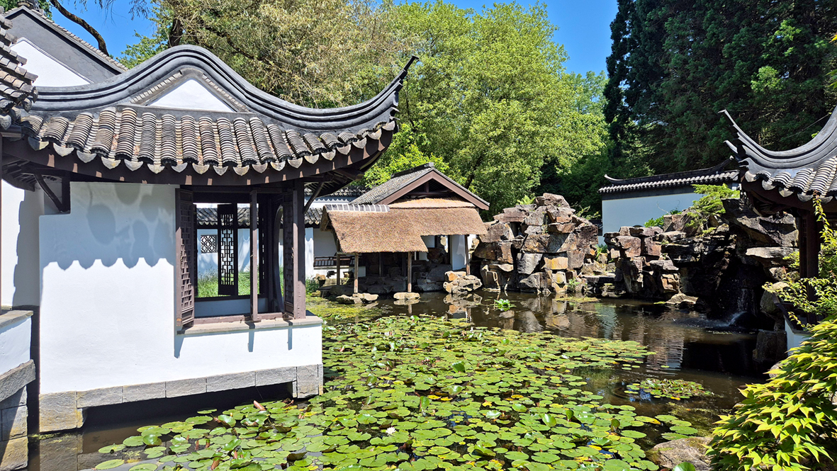 Chinese Garden June 2026