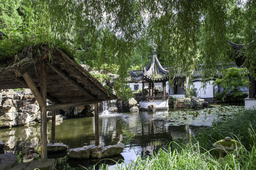 Chinese Garden