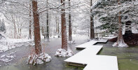 Tertiärteich im Winter - Foto: Wolfgang Stuppy; ©RUB