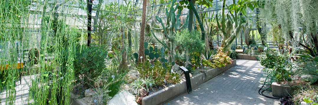 View into the desert house