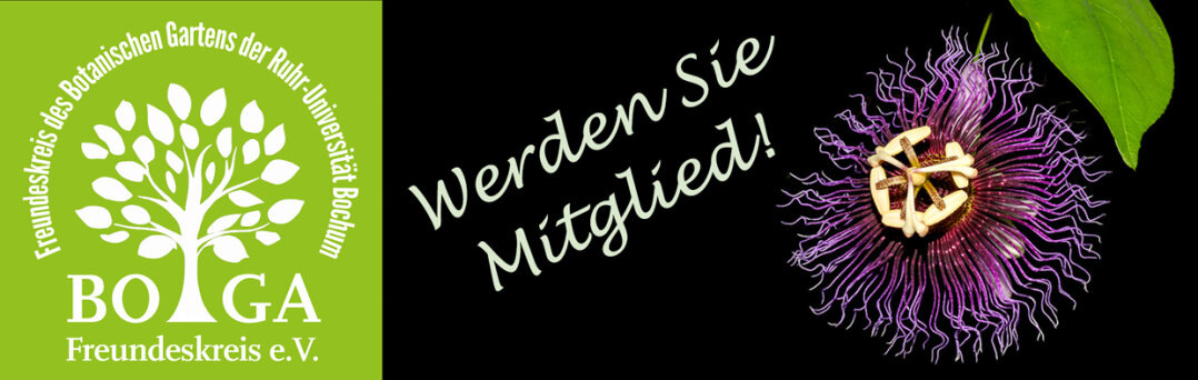 BOGA Freundeskreis_Slider