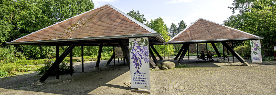 Fabelhafte Fabaceae Pavillions