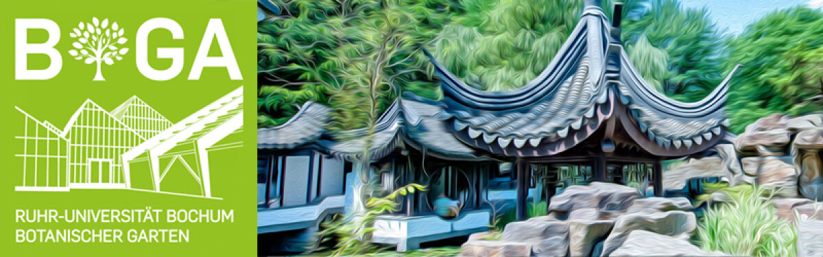 Chinesischer Garten