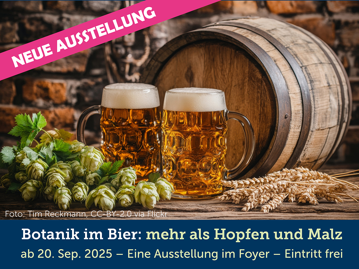 Botany in beer