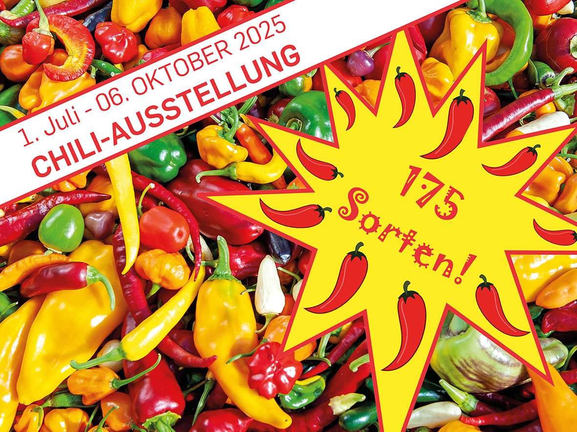 Chili Exhibition 2025