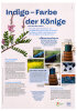 Themen-Tafel 15: Indigo - Farbe der Könige