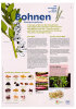 Themen-Tafel 8: Bohnen - wichtige Nutzpflanzen