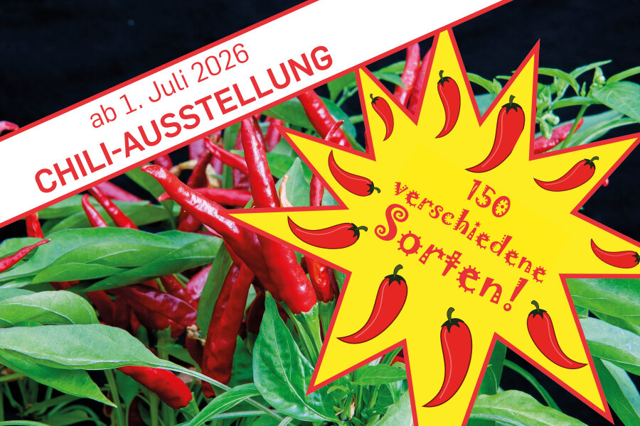 Chili-Show 2026
