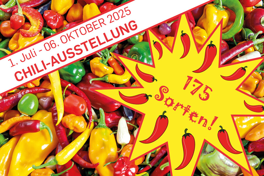 Chili-Ausstellung 2025