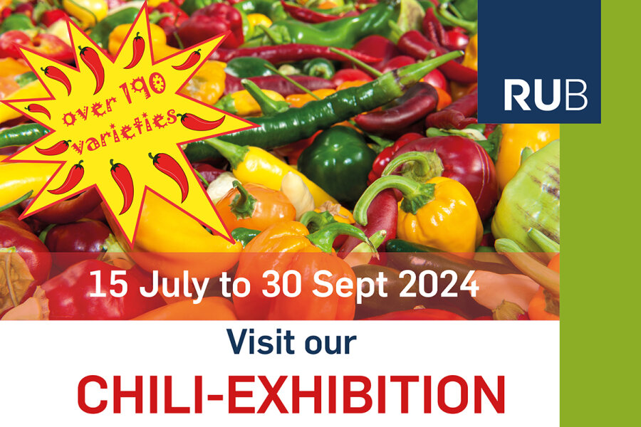 Chili-Exhibition 2024