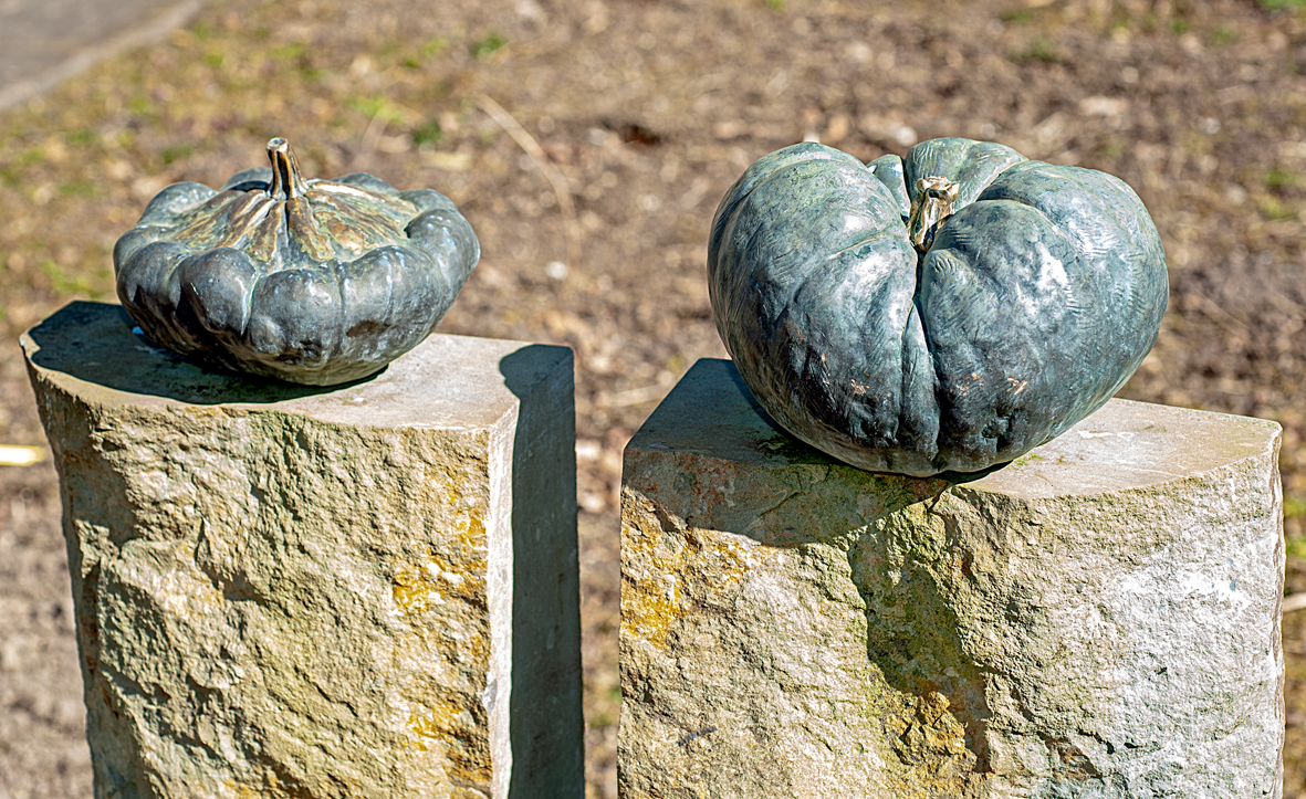 Hustermeier_Kürbise