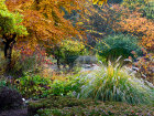 Herbst im Botanischen Garten - Foto: Klaus Dieter Kaufmann