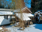 Der Chinesische Garten im Winter (17.02.2021) - Foto: Wolfgang Stuppy; ©RUB