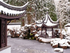 Der Chinesische Garten im Winter (31.01.2019) - Foto: Wolfgang Stuppy; ©RUB