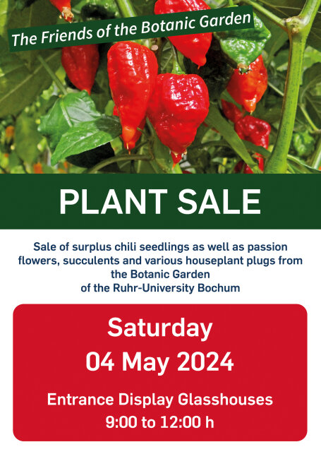 Plant Sale 04 May 2024