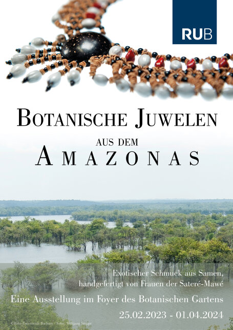 Botanische Juwelen Aus Dem Amazonas